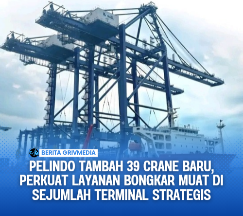 Pelindo Tambah 39 Crane Baru, Perkuat Layanan Bongkar Muat di Sejumlah Terminal Strategis