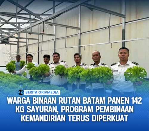 Warga Binaan Rutan Batam Panen 142 Kg Sayuran, Program Pembinaan Kemandirian Terus Diperkuat