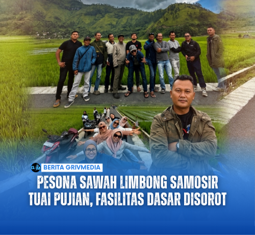 Pesona Sawah Limbong Samosir Tuai Pujian, Fasilitas Dasar Disorot