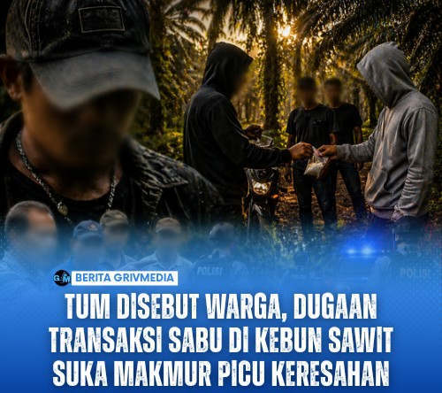 Tum Disebut Warga, Dugaan Transaksi Sabu di Kebun Sawit Suka Makmur Picu Keresahan