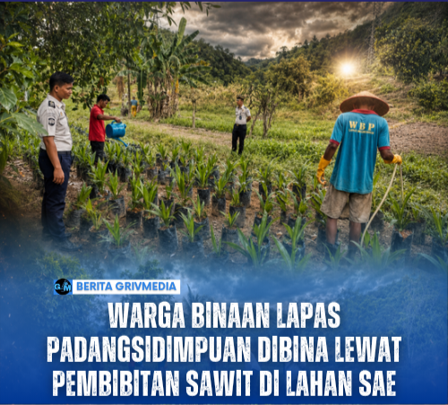 Warga Binaan Lapas Padangsidimpuan Dibina Lewat Pembibitan Sawit di Lahan SAE