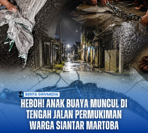 heboh anak buaya di Siantar