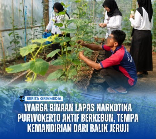 Warga Binaan Lapas Narkotika Purwokerto Aktif Berkebun, Tempa Kemandirian dari Balik Jeruji