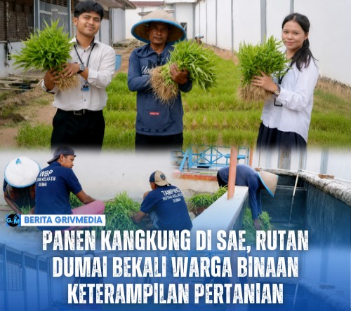 Panen kangkung bersama warga binaan di area SAE Rutan Kelas IIB Dumai
